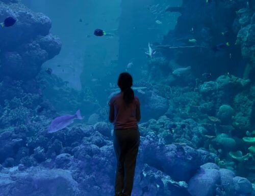 Oman Aquarium visit